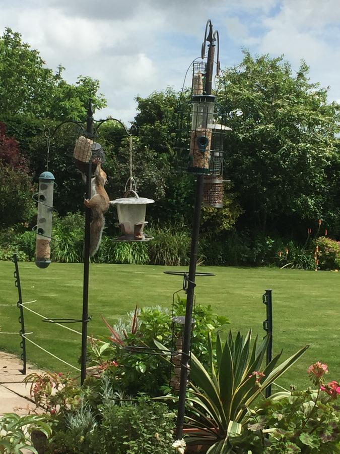 Castle Farmhouse Bed And Breakfast Glenfield Bagian luar foto